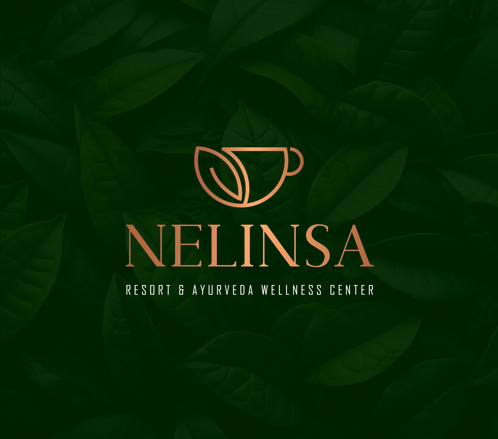 nelinsa wellness logo
