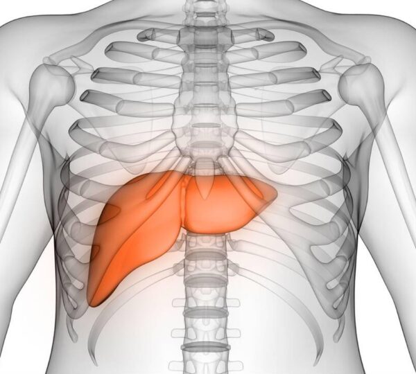 Ayurvedic Fatty Liver Treatment
